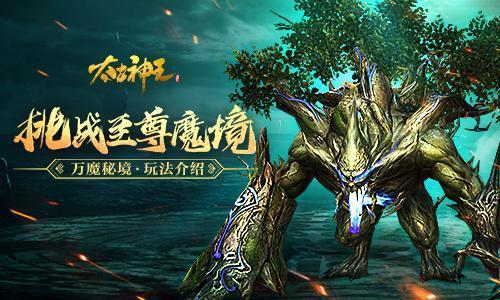 深中华A止步12连板