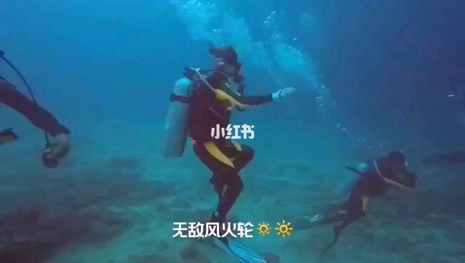 小猫钓鱼游戏龙王版有船