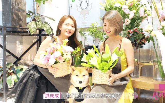 玉树琼花枝头红