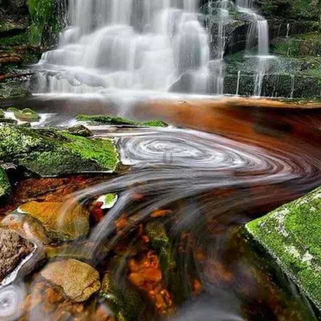 梦想牧场
